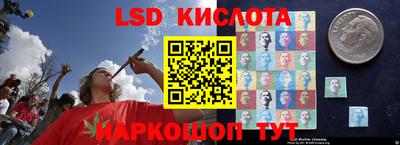 ПСИЛОЦИБИНОВЫЕ ГРИБЫ Можга