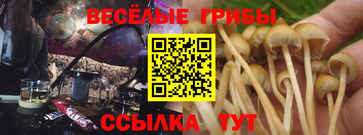Псилоцибиновые грибы Psilocybine cubensis  Псилоцибиновые грибы Magic Shrooms  Вход с VPN  Владивосток 