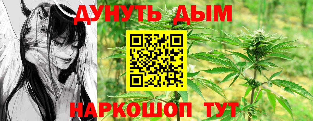 Конопля семена Владивосток